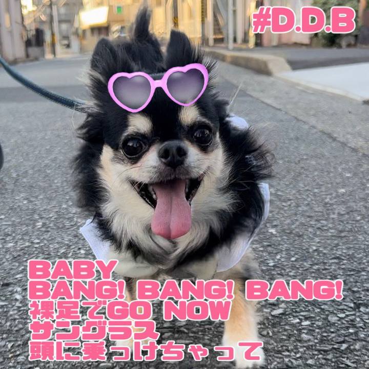 Bfc950bc 2178 4b2b 8f2e cb54cde56d64 1691840863532