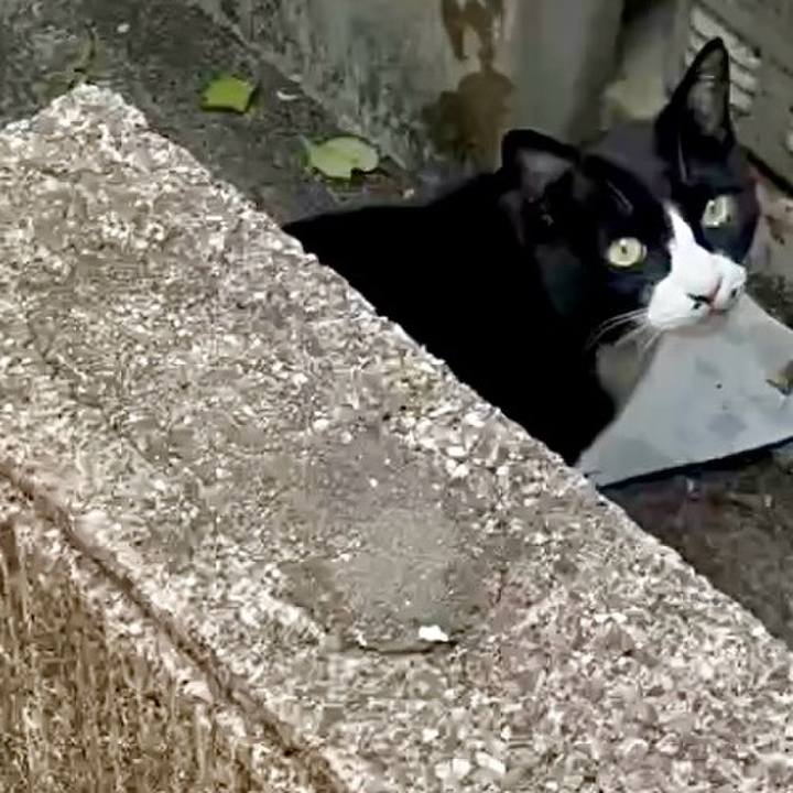 Bfc9716f e2da 469f 847d e93f4d48d534 1748400737206