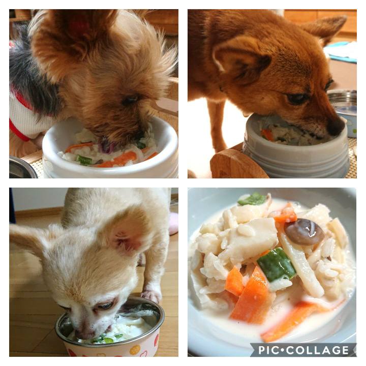 Bfc9c5da 269b 4b5e b8f9 f3e3d996a16f 1565004762998