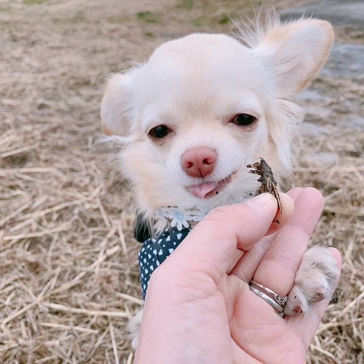 Bfc9ca56 fc1b 4c7b a4ea 17d4dc736e35 1609922750691