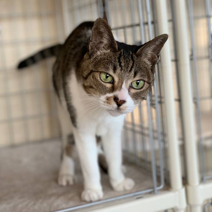 Bfc9d91e 7a5a 4039 8a12 48f462b8a660 1549849300076