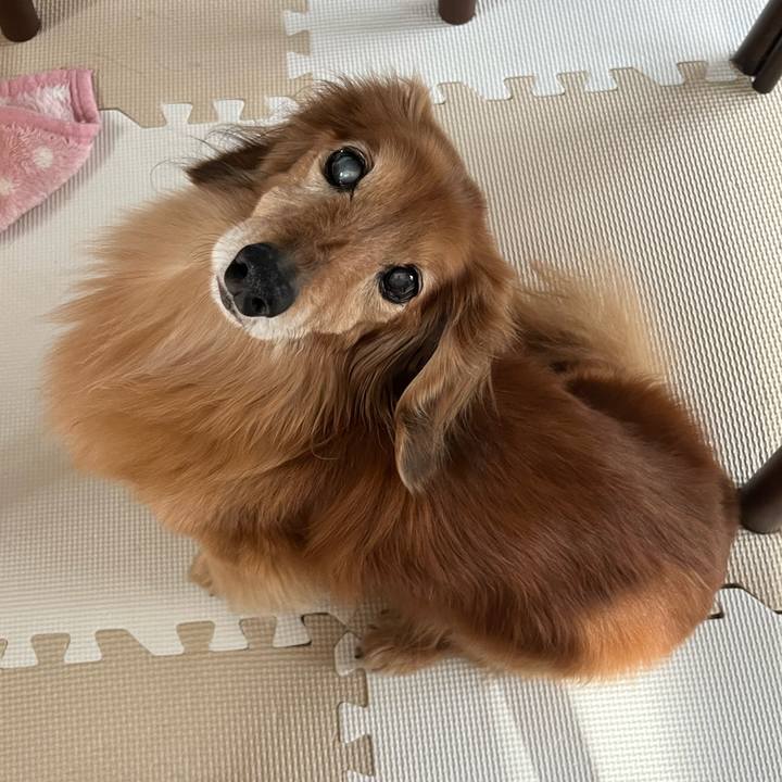 Bfca0a1e 11a0 4772 83ef 479d9b159066 1683469755022