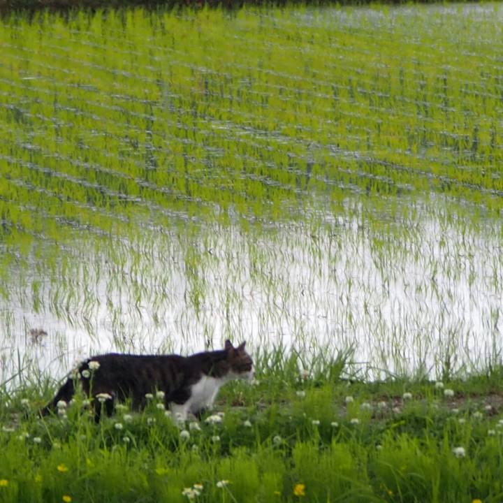 Bfca4895 efbb 4f11 a2e4 a0c9731446e4 1526727897481