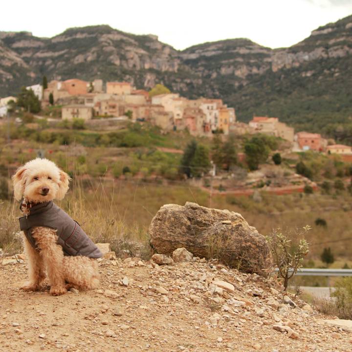 Bfca5925 c2be 4fc0 96e3 493e74c05320 1554648293998