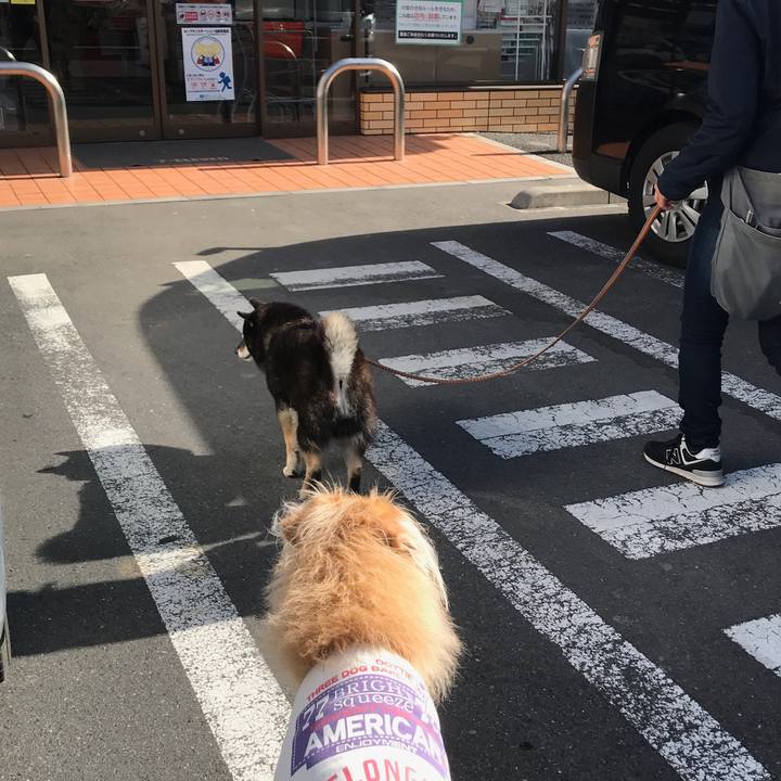 Bfca8c46 99f4 4aba a650 47017c7074a5 1584776499315