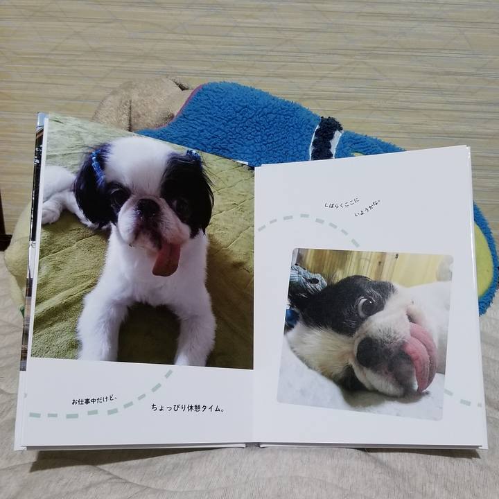 Bfca93ce 6223 4a84 b090 5c3fe49992dc 1625134851351