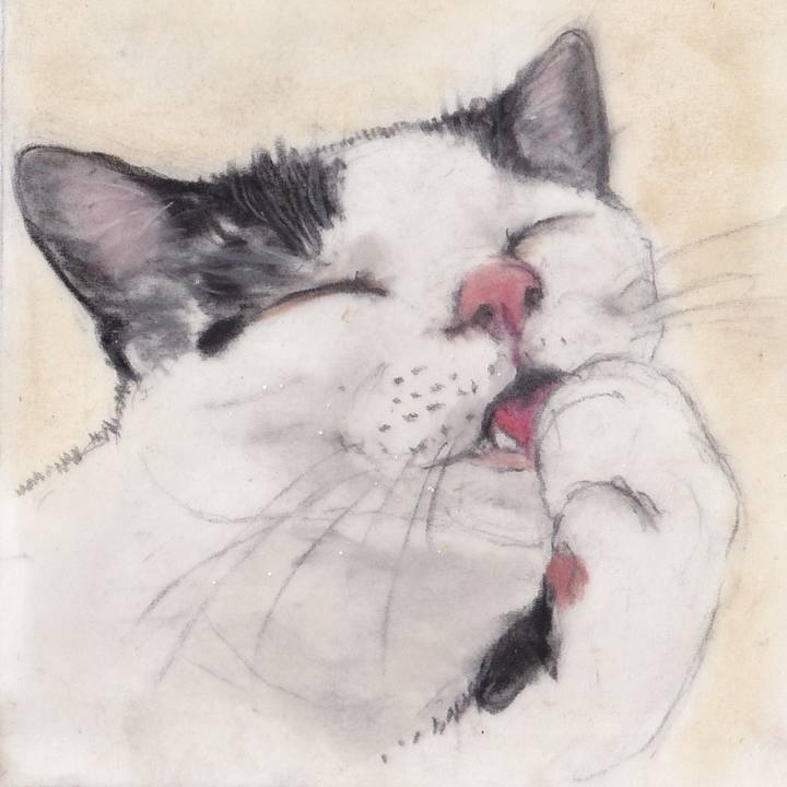 Bfcacc20 909d 495e 9623 726eb716ba29 1744343134259