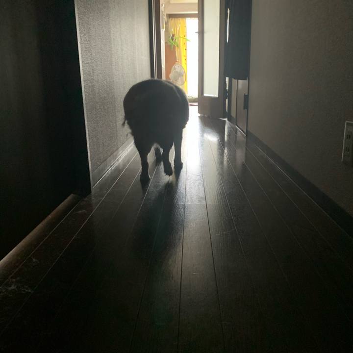 Bfcacfb0 e780 42b1 bd52 4e3df590cd3b 1634190730100