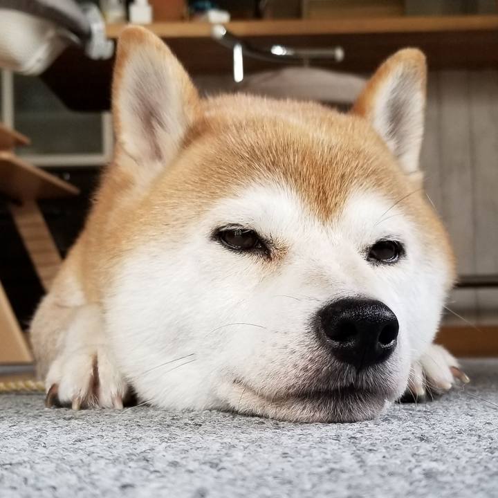 Bfcae65c 2605 4991 91bd 9b3c1759adf6 1598076235781