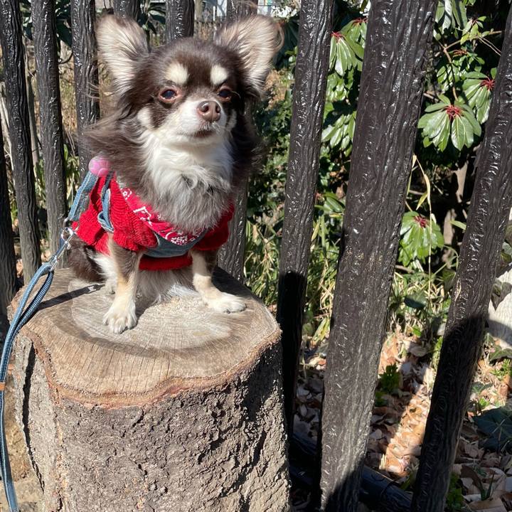 Bfcaf56b 11c1 4f0b ae19 e81af8c7e8fd 1612530668215