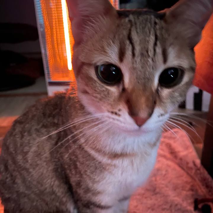 Bfcb6fe6 590d 411e 91cc abc161e5381a 1706253910322