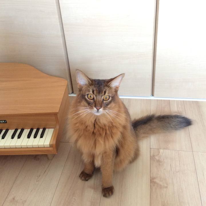 Bfcb9bdc 5b4f 4f34 8896 ecb6a9dfe9e6 1598838702626