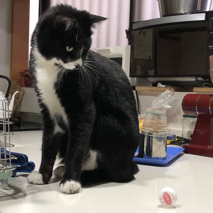 Bfcba8f1 308a 4948 a0ee 4d6eac6f5957 1559361195484