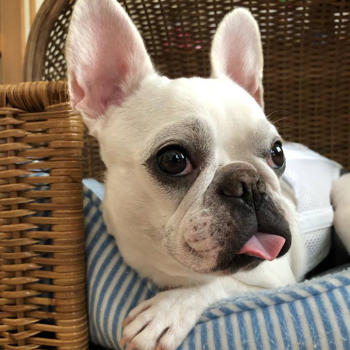 Bfcbb324 9087 400a 8040 26f6108bb3a3 1566101726823