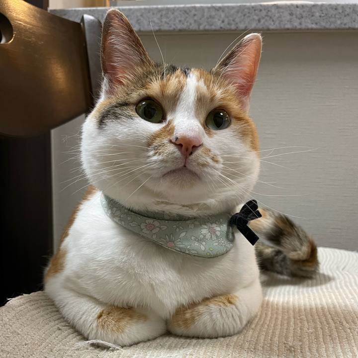 Bfcbbd8a 28f7 44a2 8b26 37f9b6deb57f 1682983809015