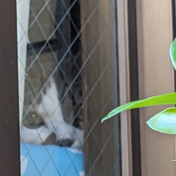 Bfcbe154 0cff 4e8f a604 ac9adc102579 1691620558874