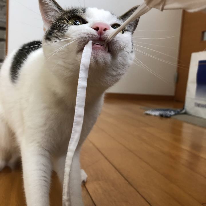 Bfcc3829 a4a1 45f0 aa1c c2322bb78c16 1597057639906