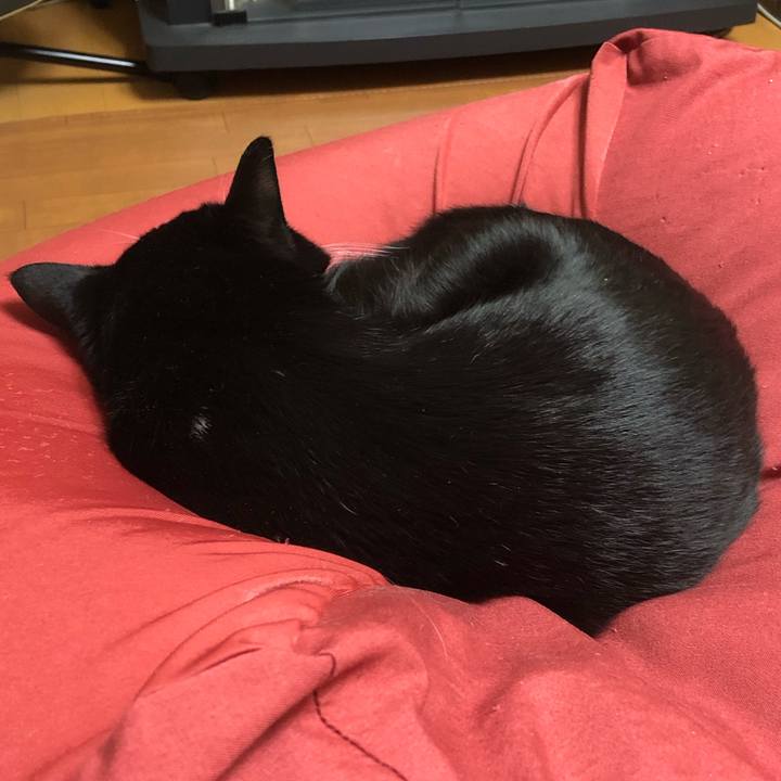 Bfcc3ffd ac87 47d6 b9b1 1694a0ce1050 1545277303011