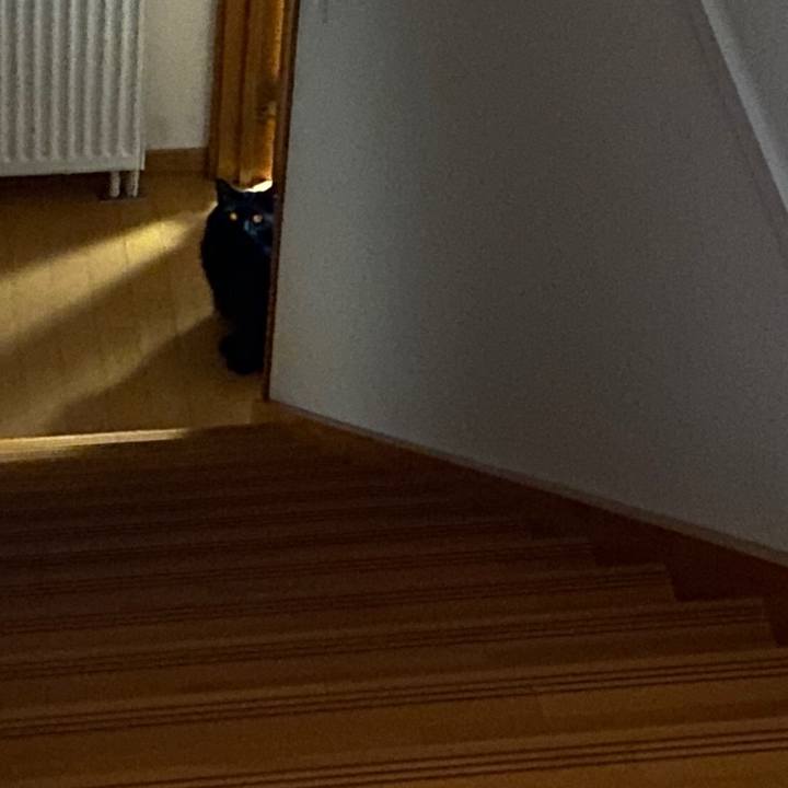 Bfcc4847 5360 4203 97d0 c17c0be09c22 1588771551599