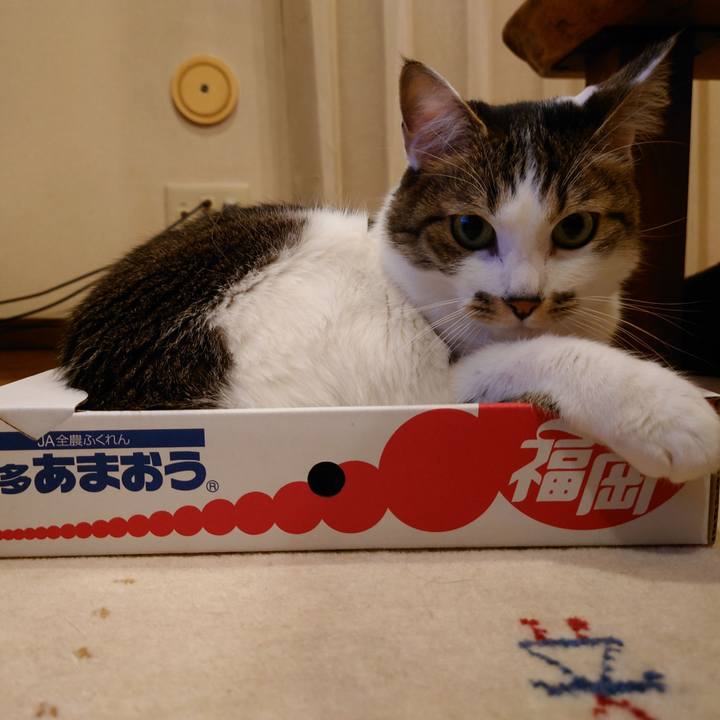 Bfcc8bb2 e1ec 4b49 a51d 1220e3c1954e 1771911836534