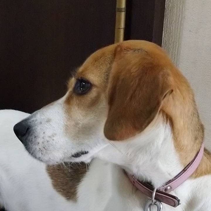 Bfcca315 ec4b 4e90 b22b fed39f14e87e 1595833695723