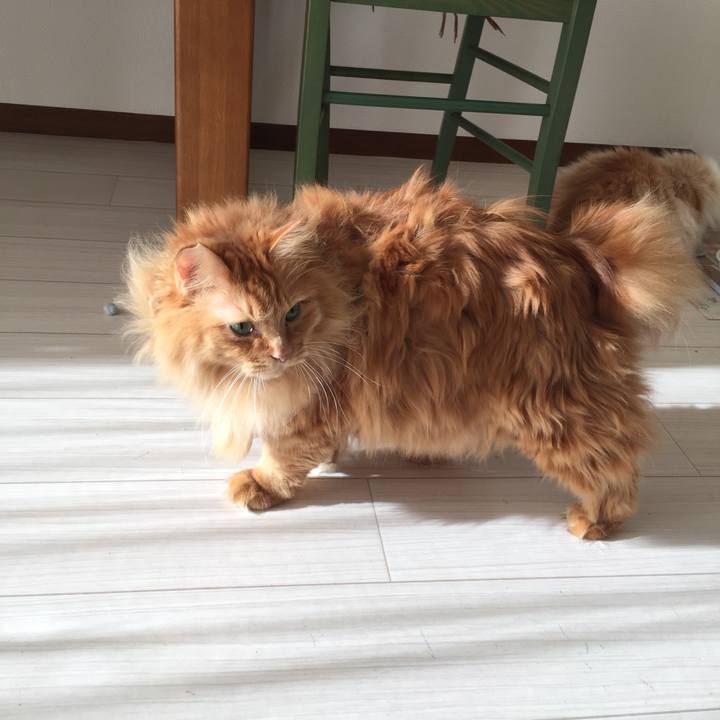 Bfccae14 bb59 4a44 a473 970ac5f51306 1515363970917