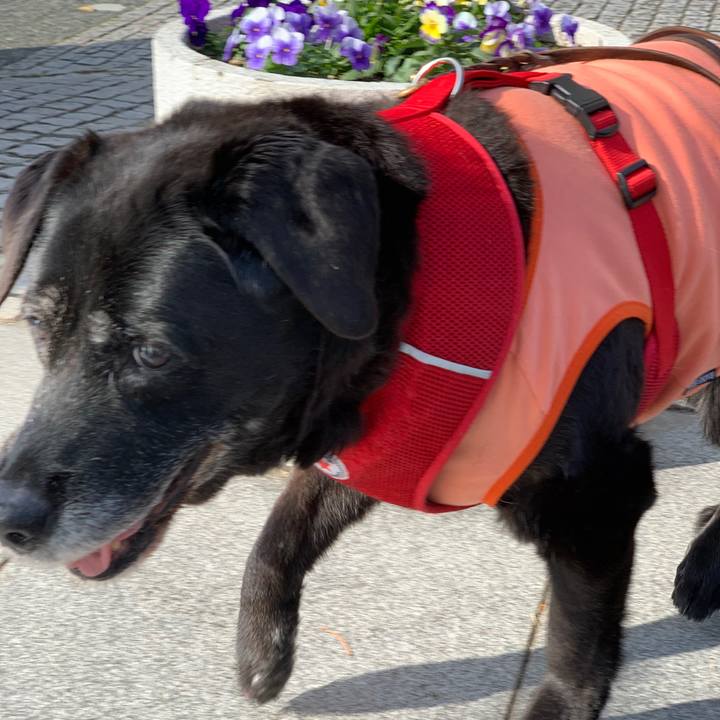 Bfcce965 7369 4cb3 b2c1 89e7710ad149 1641701327446