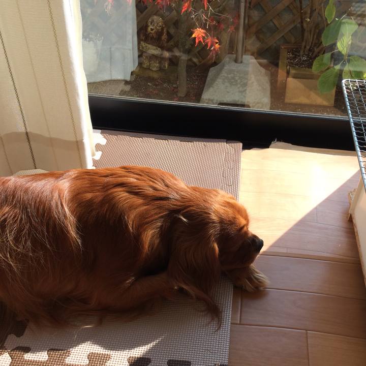 Bfcd347e c4b9 4c79 883c 9e07c274419a 1577397954870