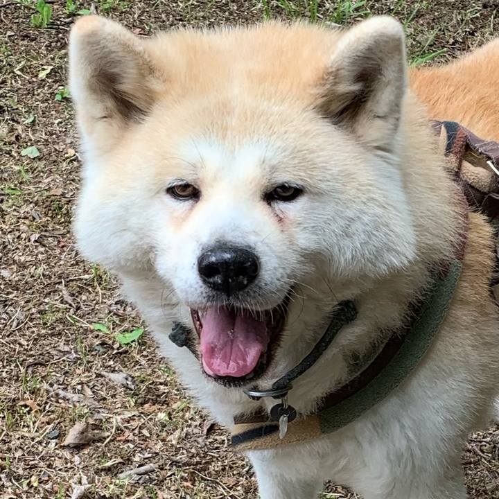 Bfcd4068 5ba1 40e3 a773 ed5f0f032706 1618629961003