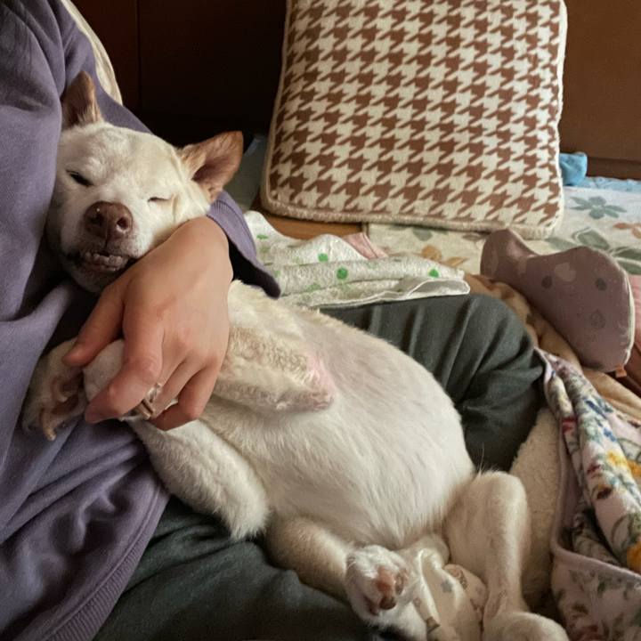 Bfcd46dd 4e34 484a 898f d6a77aaedafa 1674599401499