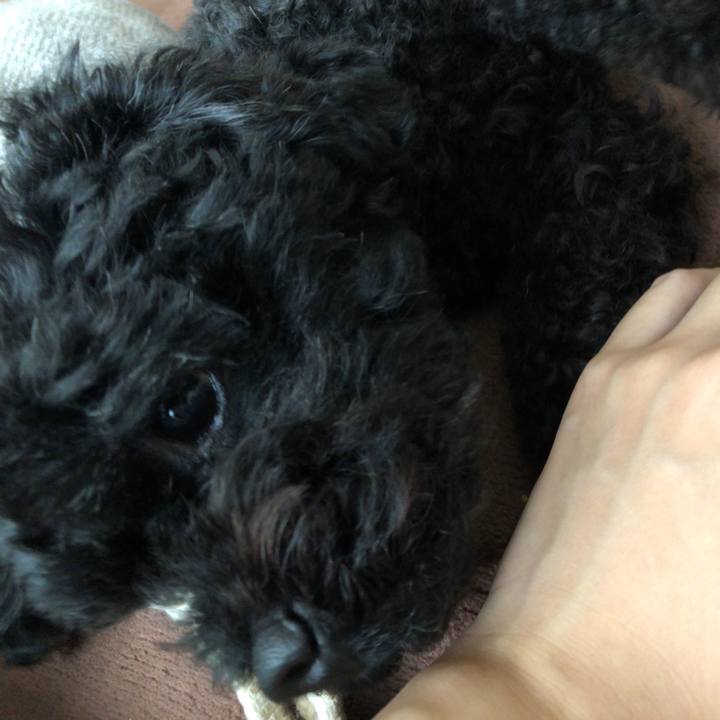 Bfcd5d8c 5630 45b2 82a6 3a5a42108599 1562899499316