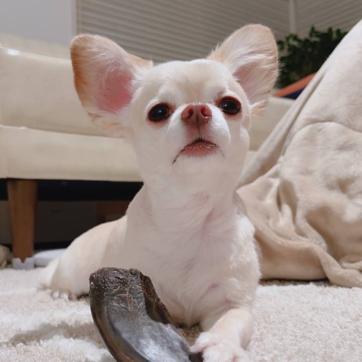 Bfcd6342 f566 46ac 90fe c56740c605f0 1756384996104