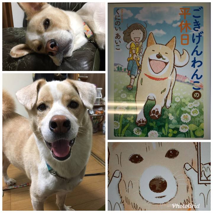 Bfcddf32 c94f 47e6 9d38 ececde5c92aa 1540266341311