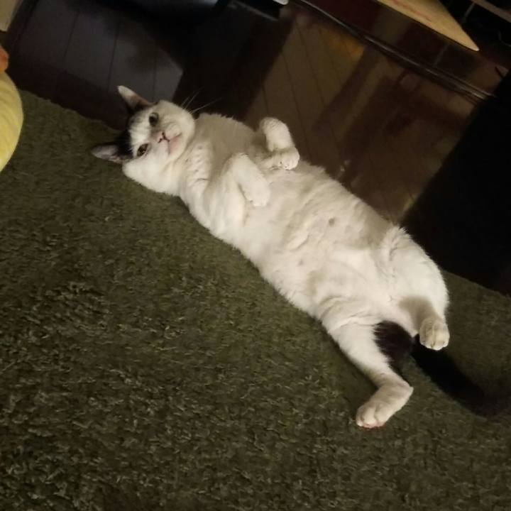 Bfce1a4a 792c 474d ac7c 4dd301cf1e66 1534665714776