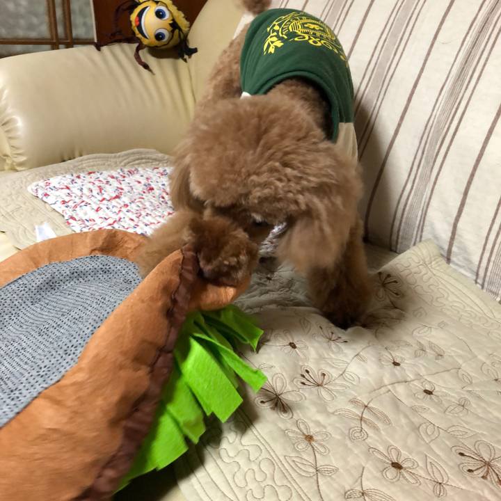 Bfce4823 289f 4e8b bd62 aec1c486286c 1589588494288