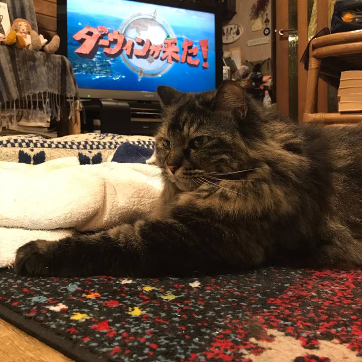 Bfce4bdb 9654 4b99 8d82 4ae614280653 1615113231753