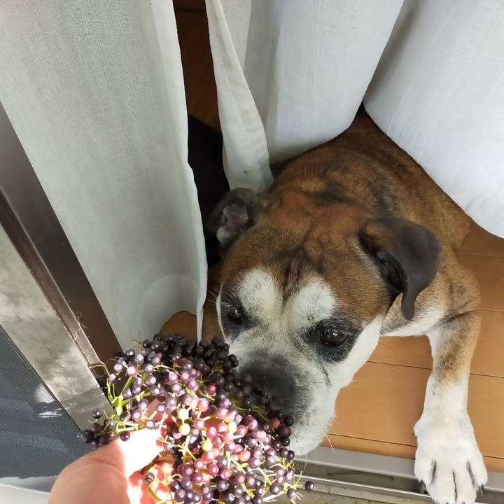 Bfce8682 5459 4897 aa2c 5bb24a6eb7ce 1629982123274