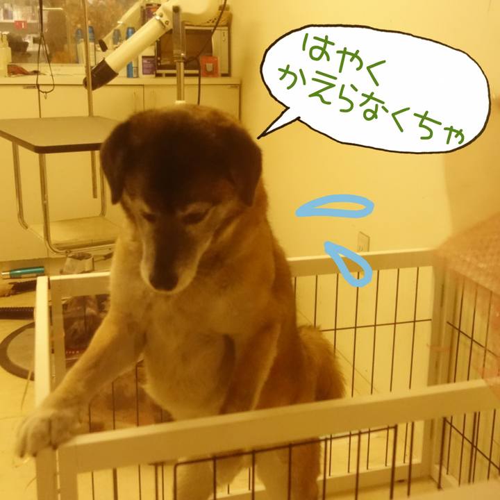 Bfcec41b 950b 49d7 b0c9 ce9da501b9a5 1666920671839