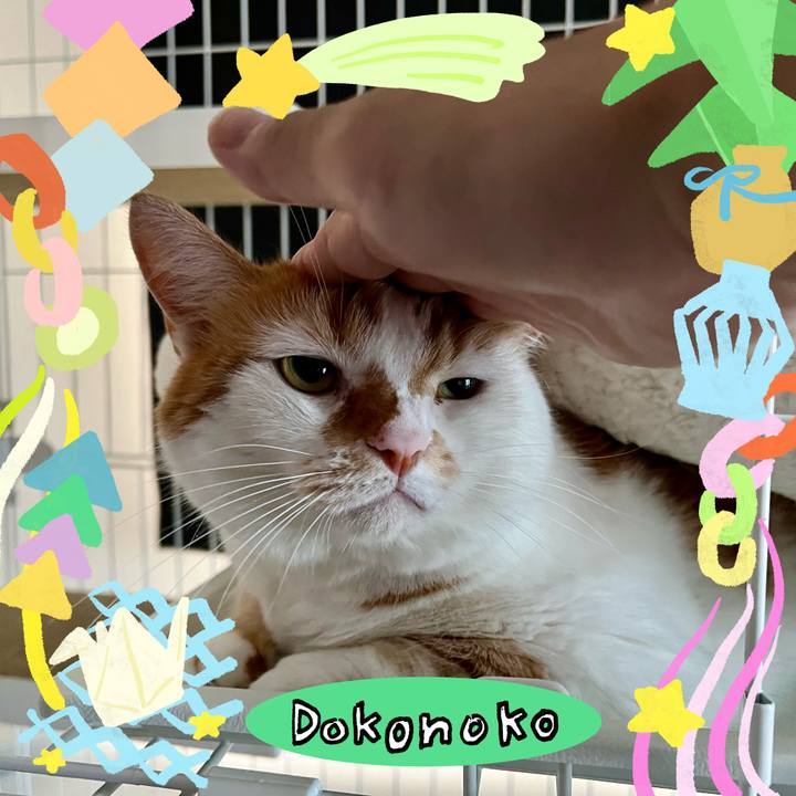 Bfcec6b0 df82 493d 9df5 0900e03f07a9 1755488369679