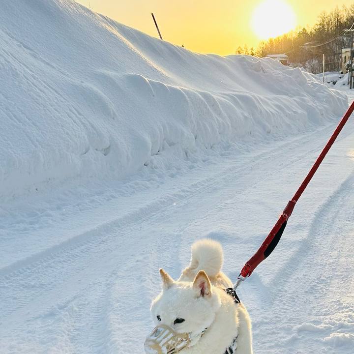 Bfcf56b3 d2e8 4cc9 a286 36caee0f2773 1708814431058