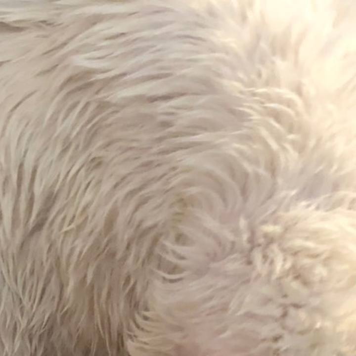 Bfcf66ef e4ba 4b30 a827 f3317efb191a 1615091244824