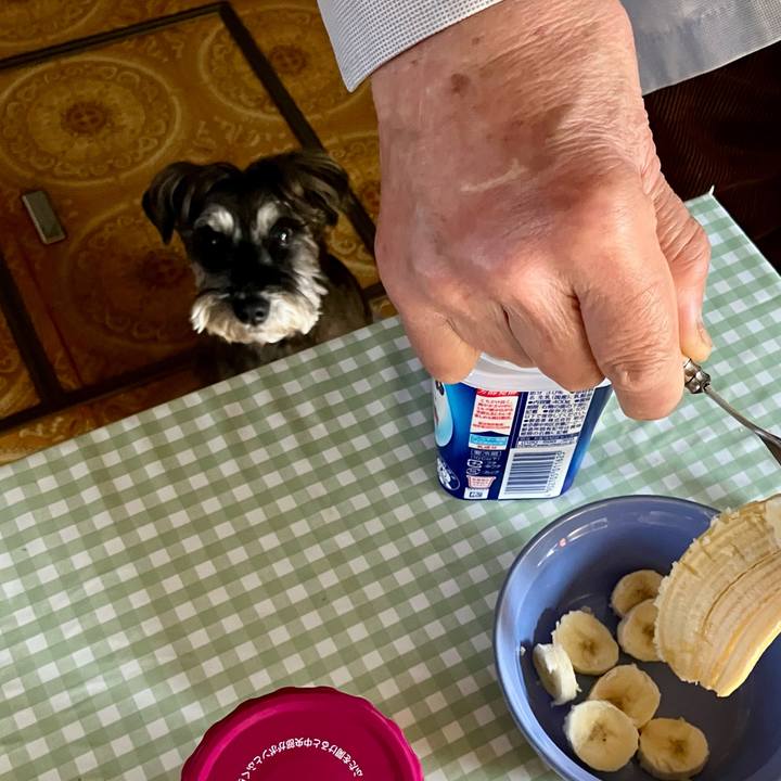 Bfcfd940 b2d0 4789 94f3 e3f7f71f2e78 1745728588688