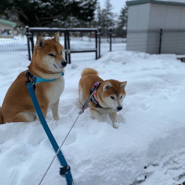 Bfcffe17 3f7b 4023 b173 3eb6c4f2100b 1612401054748