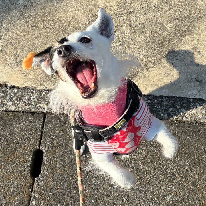 Bfd00691 a0b5 4128 b462 73646d12fa44 1773271745266