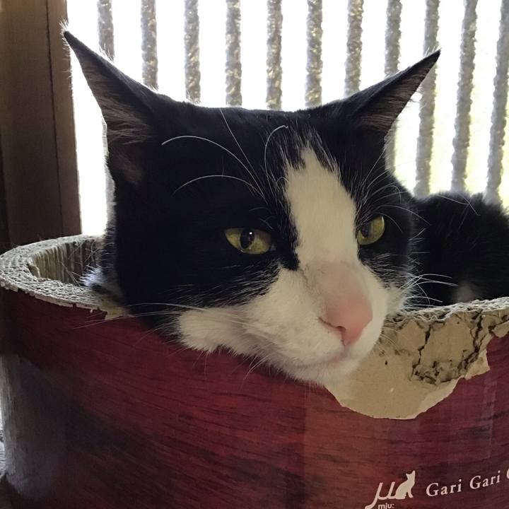 Bfd0764d efe0 474e 9460 0e39051dcfc9 1744624004649