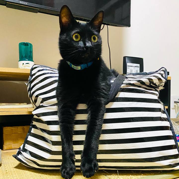 Bfd08570 18cb 4cf9 9e9d c46ecd60733f 1753795721861