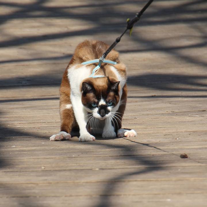 Bfd0df67 7b84 4cad 839f e1c51cdc960b 1510568974316