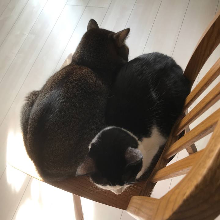 Bfd0f830 d0d2 4eca 98a8 6df917383f54 1543222005392