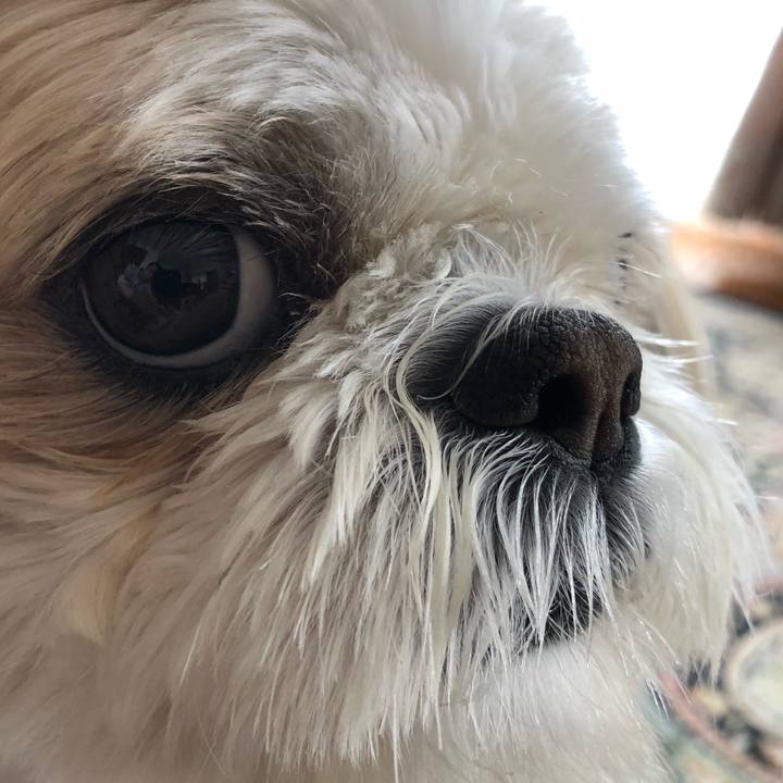 Bfd106fc 4c86 46b6 bc99 c54131a28fce 1523756048999