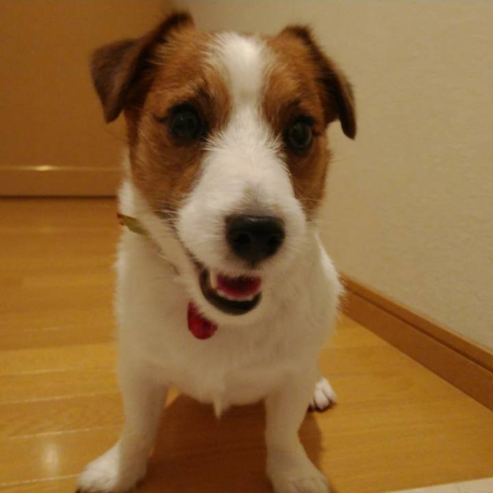 Bfd15606 7d7a 474d 82e8 9373767fdbc6 1520768989650